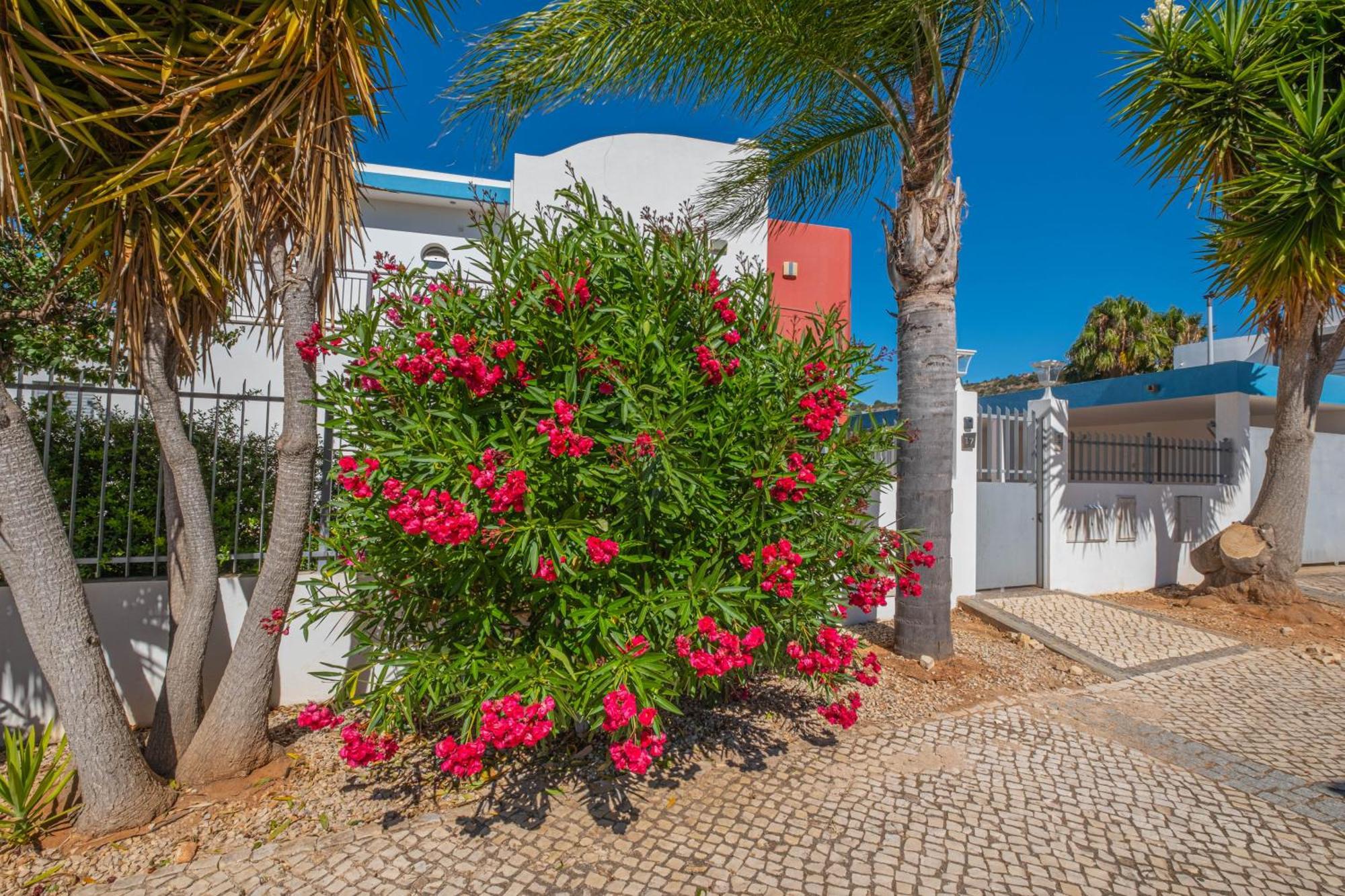Capetown Marina Luxury Villa - Private Pool Albufeira Exterior foto